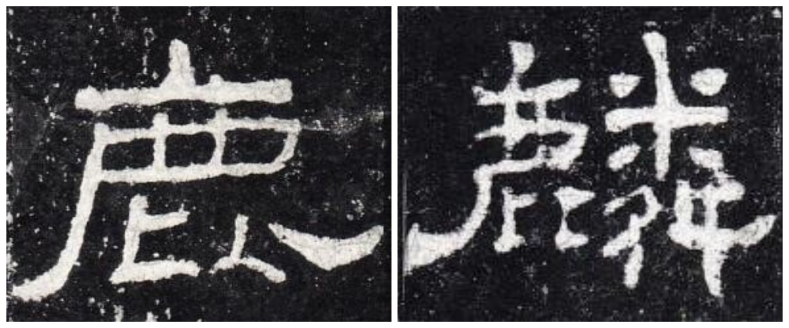 FotoJet (2).jpg